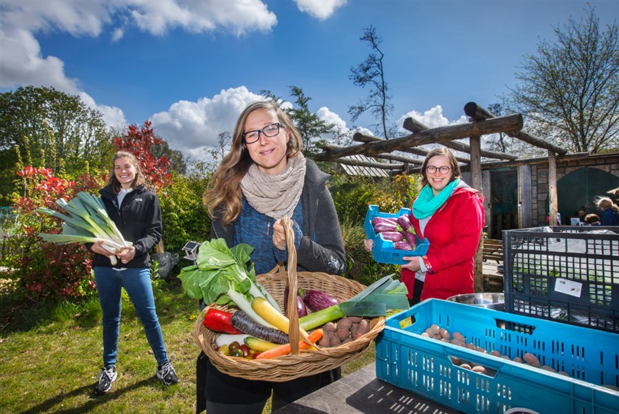 Bericht  Fiets mee! 4 verrassende routes langs ons Haagse voedsel bekijken